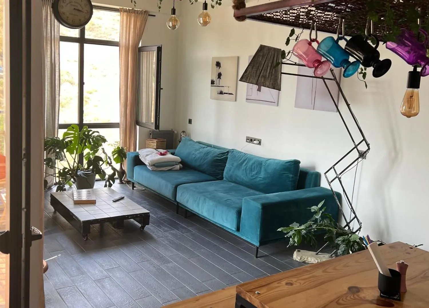 Apartment #50 contacts